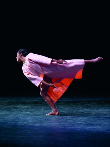 a dancer in a pink costume performing a pose
