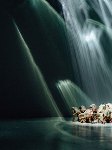 Un groupe de danseurs se rassemble et s'incline,  les mains effleurant le sol, baigné par une lumière  vaporeuse.