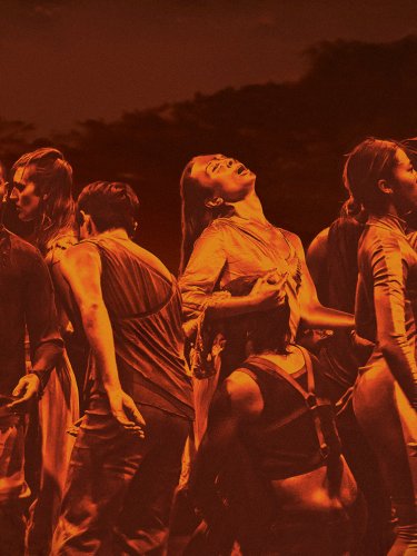 Danseurs en groupe dans un champs, avec un filtre stylisé
