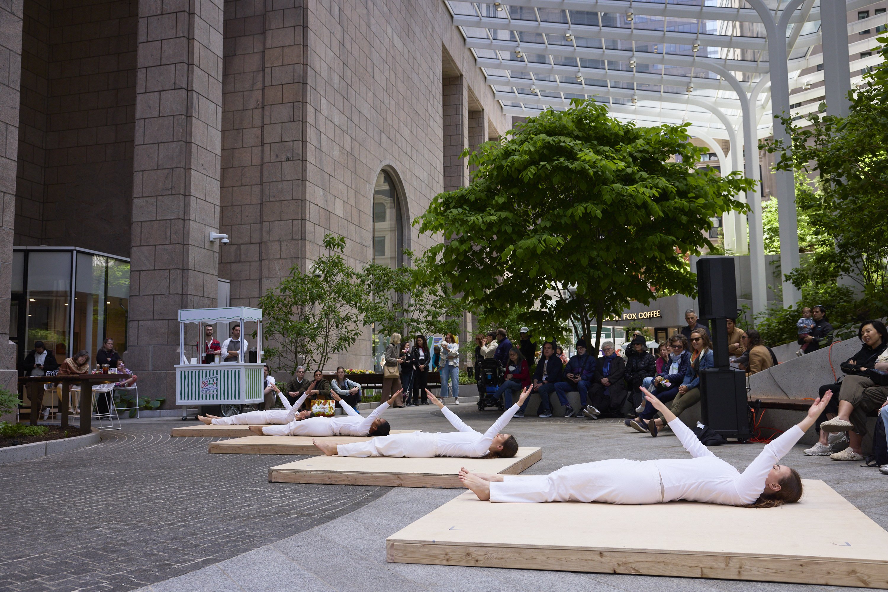 In Plain Site - Trisha Brown 