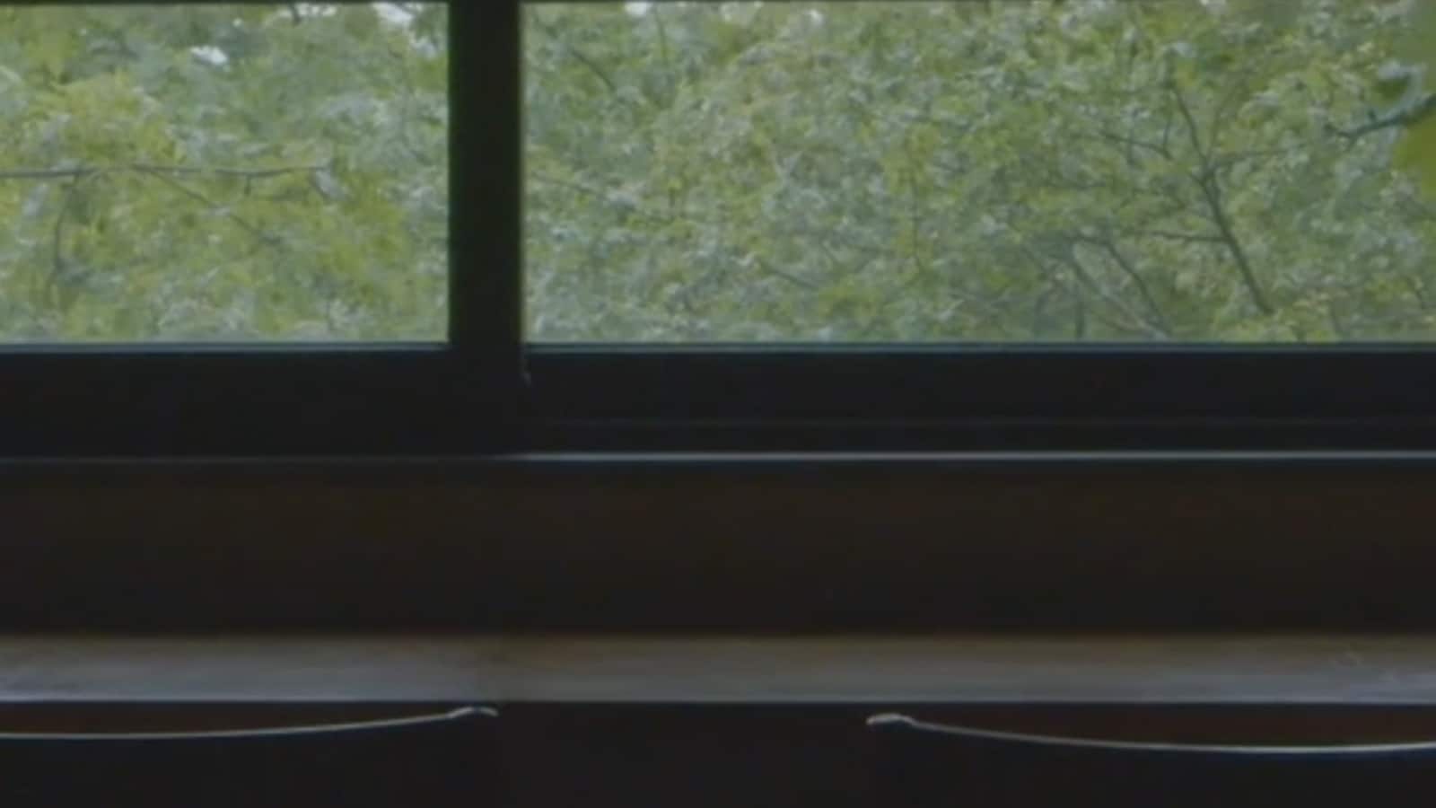 Vue sur une fenêtre entre-ouverte