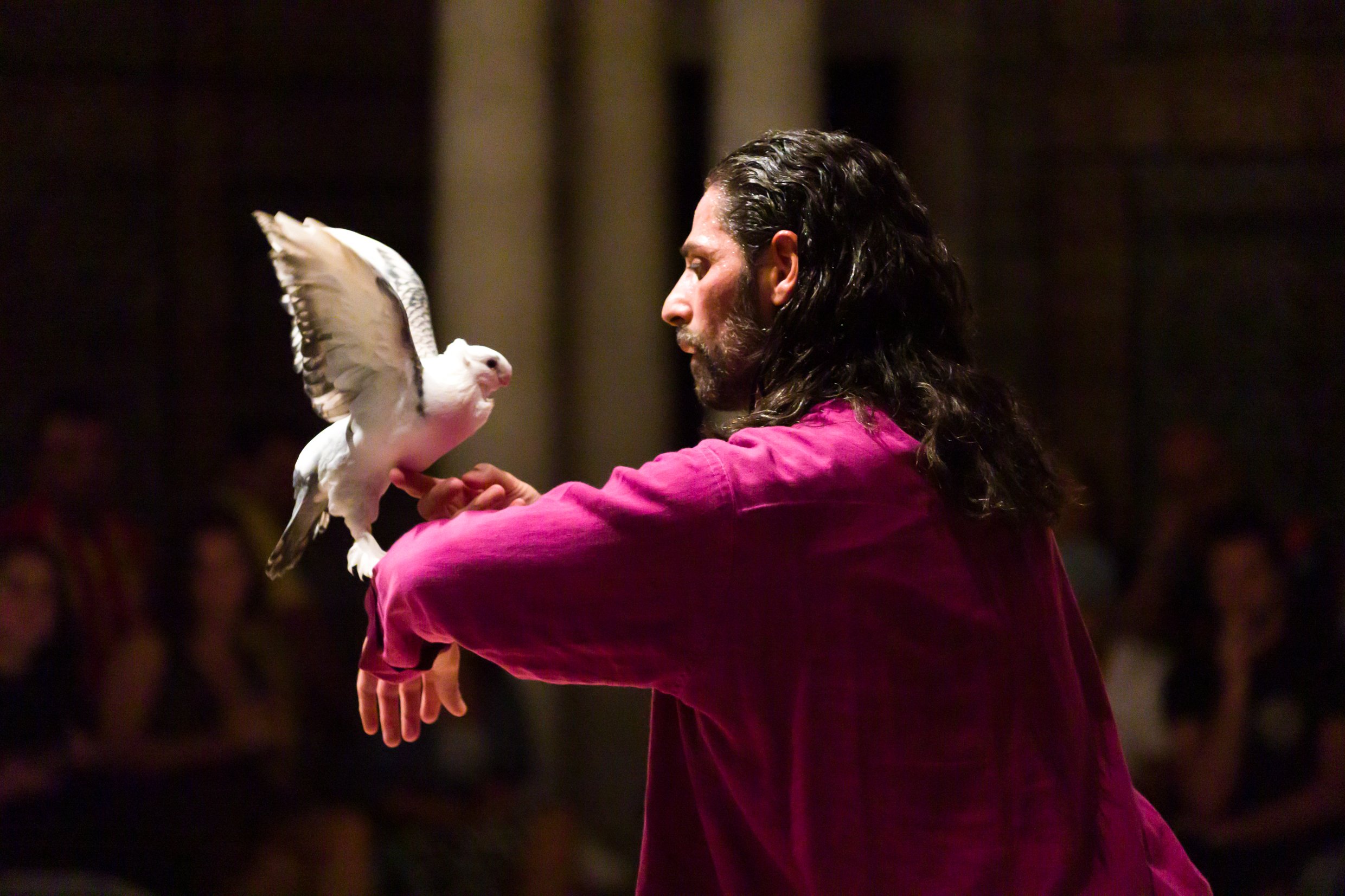 A man training a bird