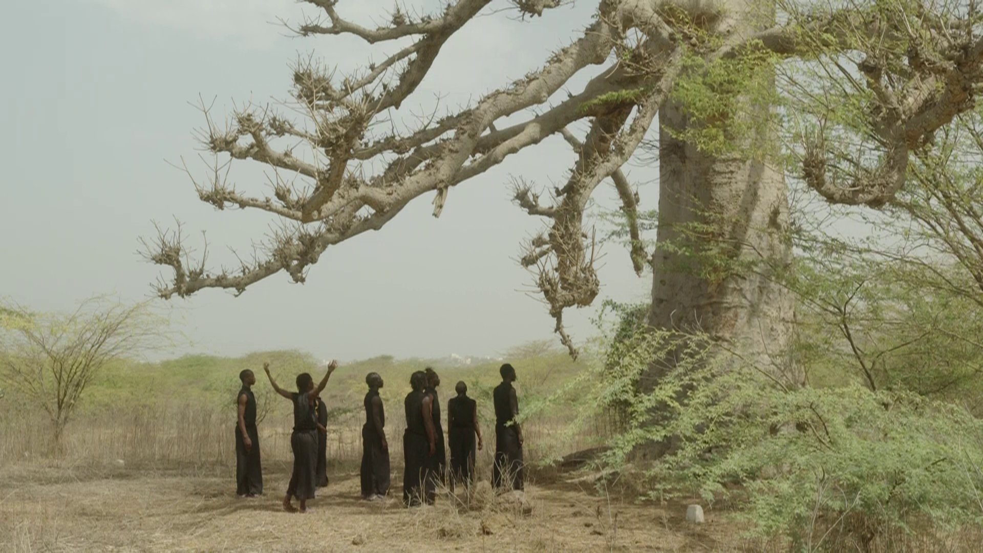 group of people dressed in dark clothing stand under a large, ancient-looking tree with thick branches in an arid landscape, with one person in the center raising their arms