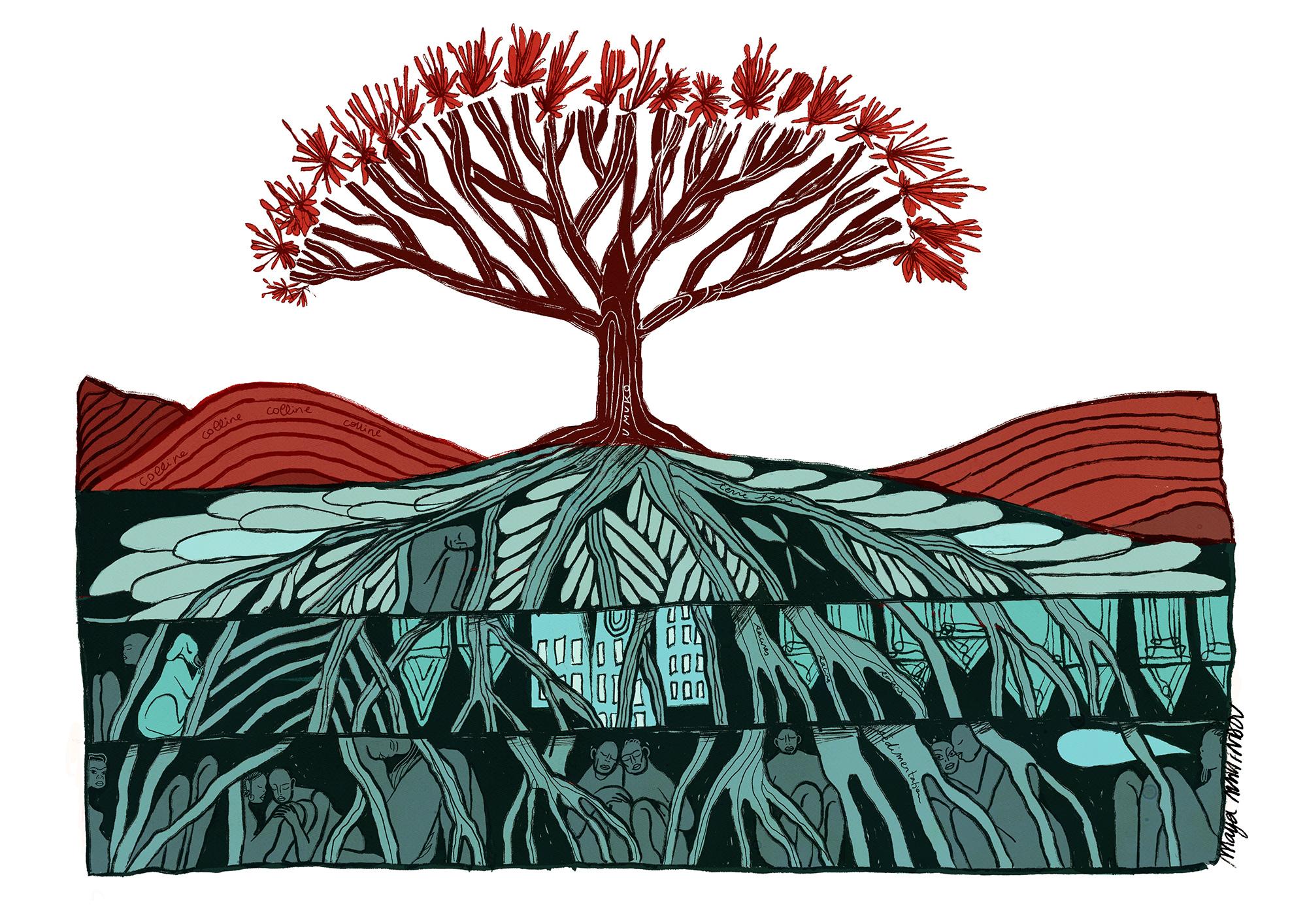 drawing of a tree