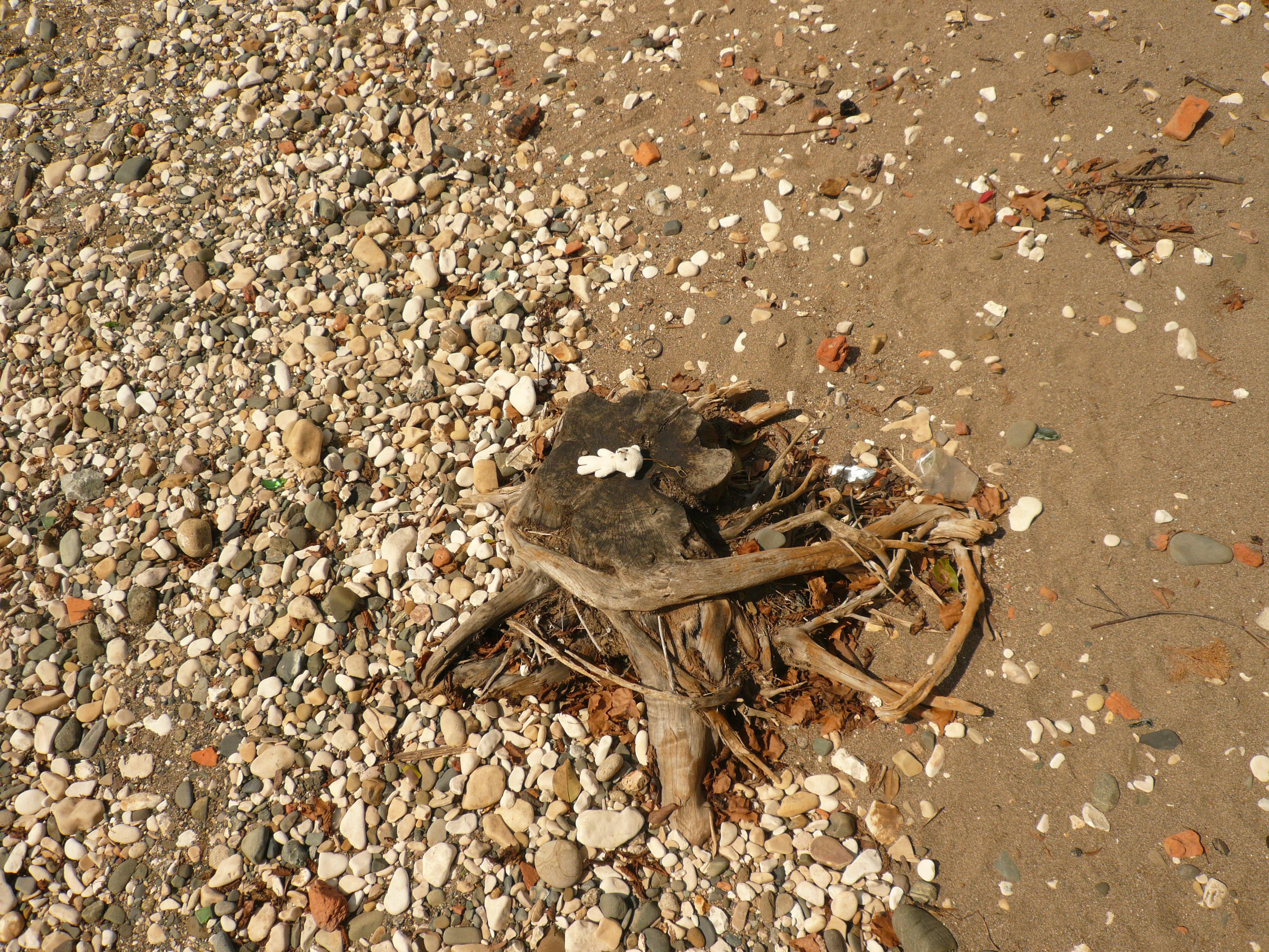 Petite peluche sur une souche dans le sable, visuel de Quelqu’un se sert de mes objets familiers