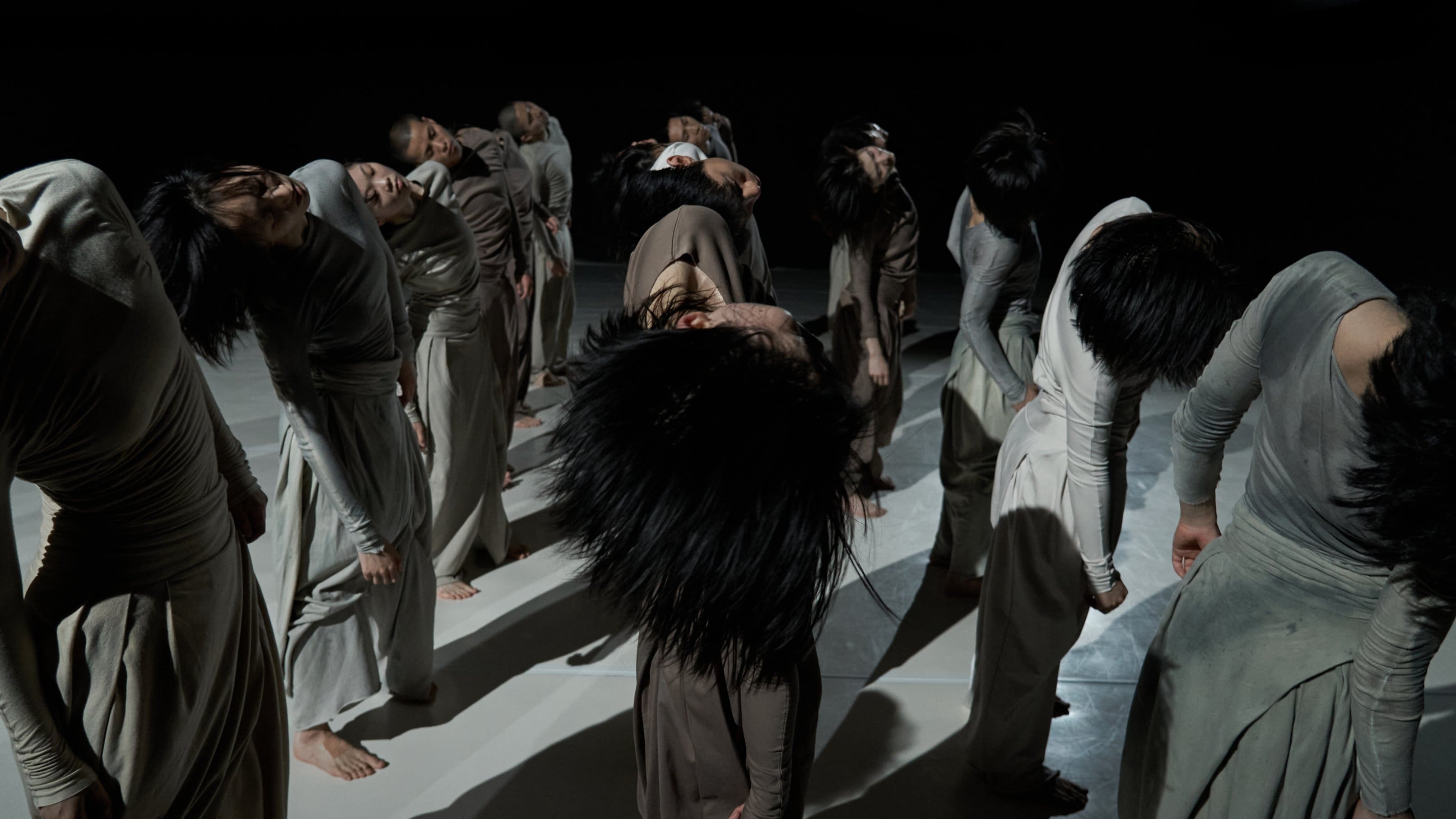groupe de danseurs en ligne, debout, tête penchée, en costume camaïeu gris