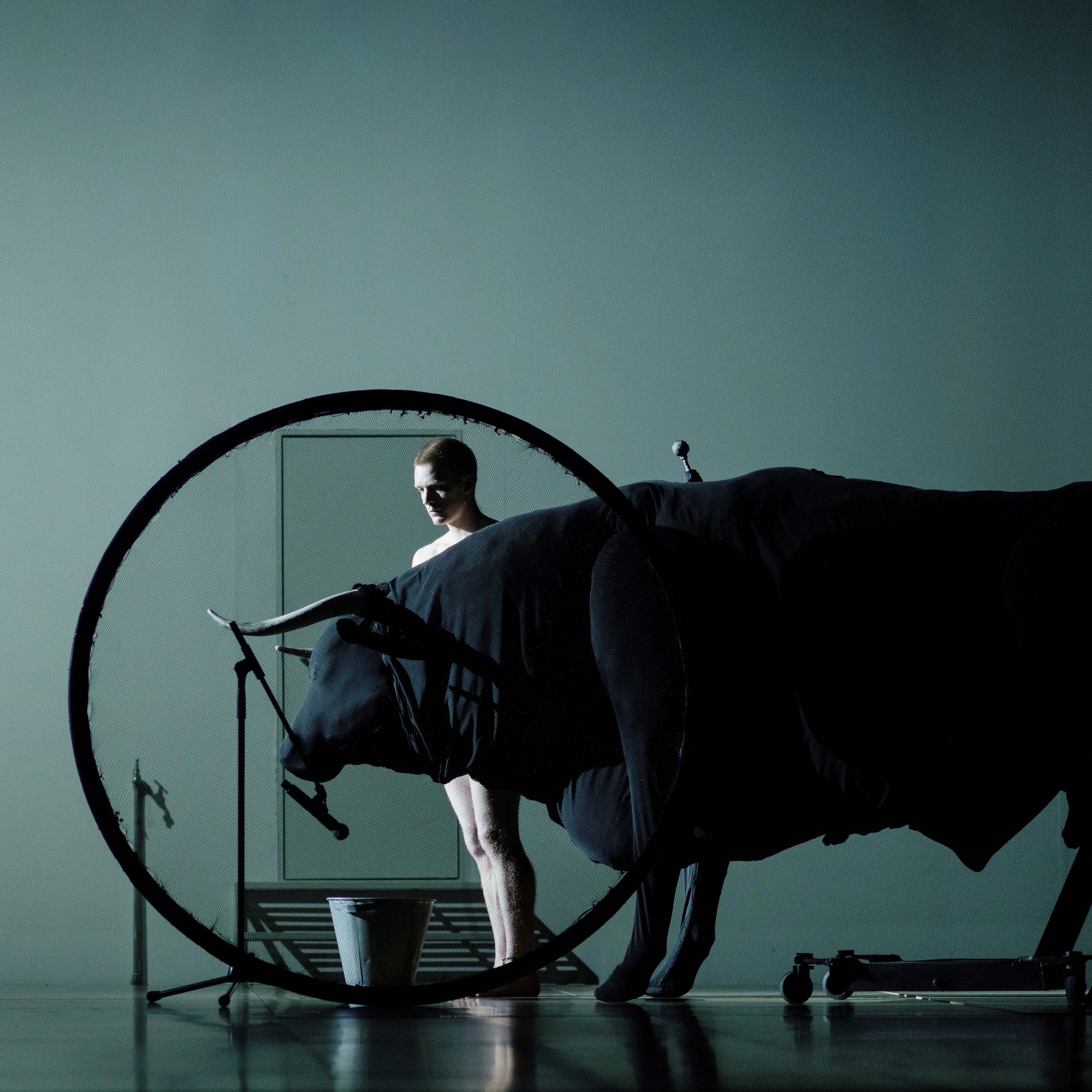 Danseur à côté d'un taureau dans Transverse Orientation